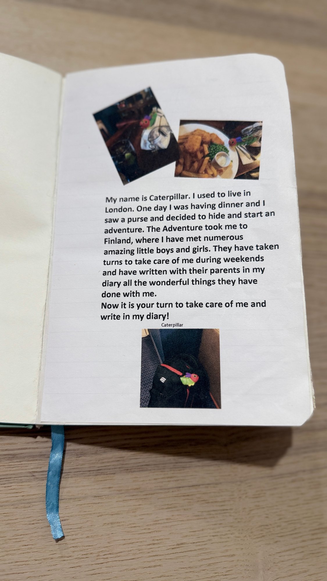 Caterpillar’s notebook